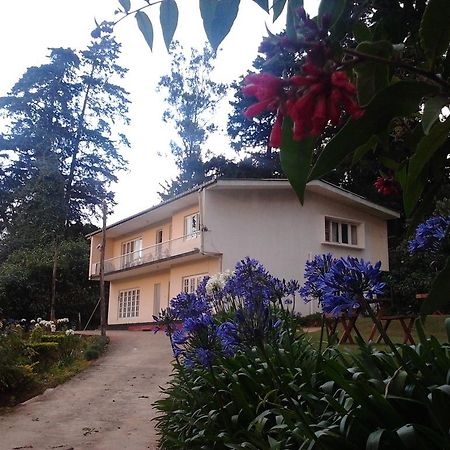 Park View Guest House Нувара Елия Екстериор снимка