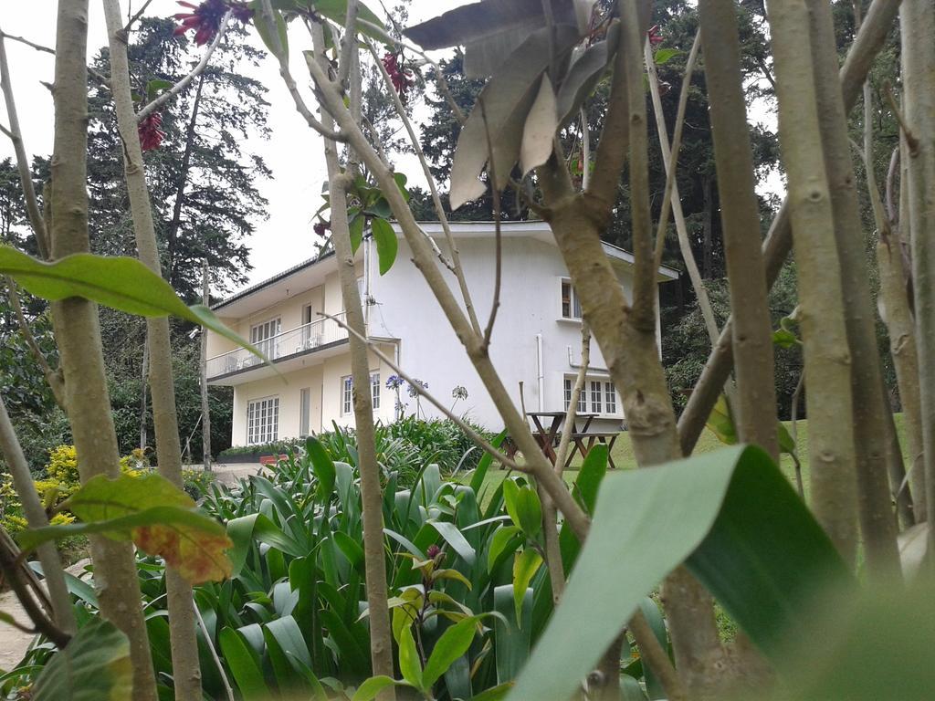 Park View Guest House Нувара Елия Екстериор снимка